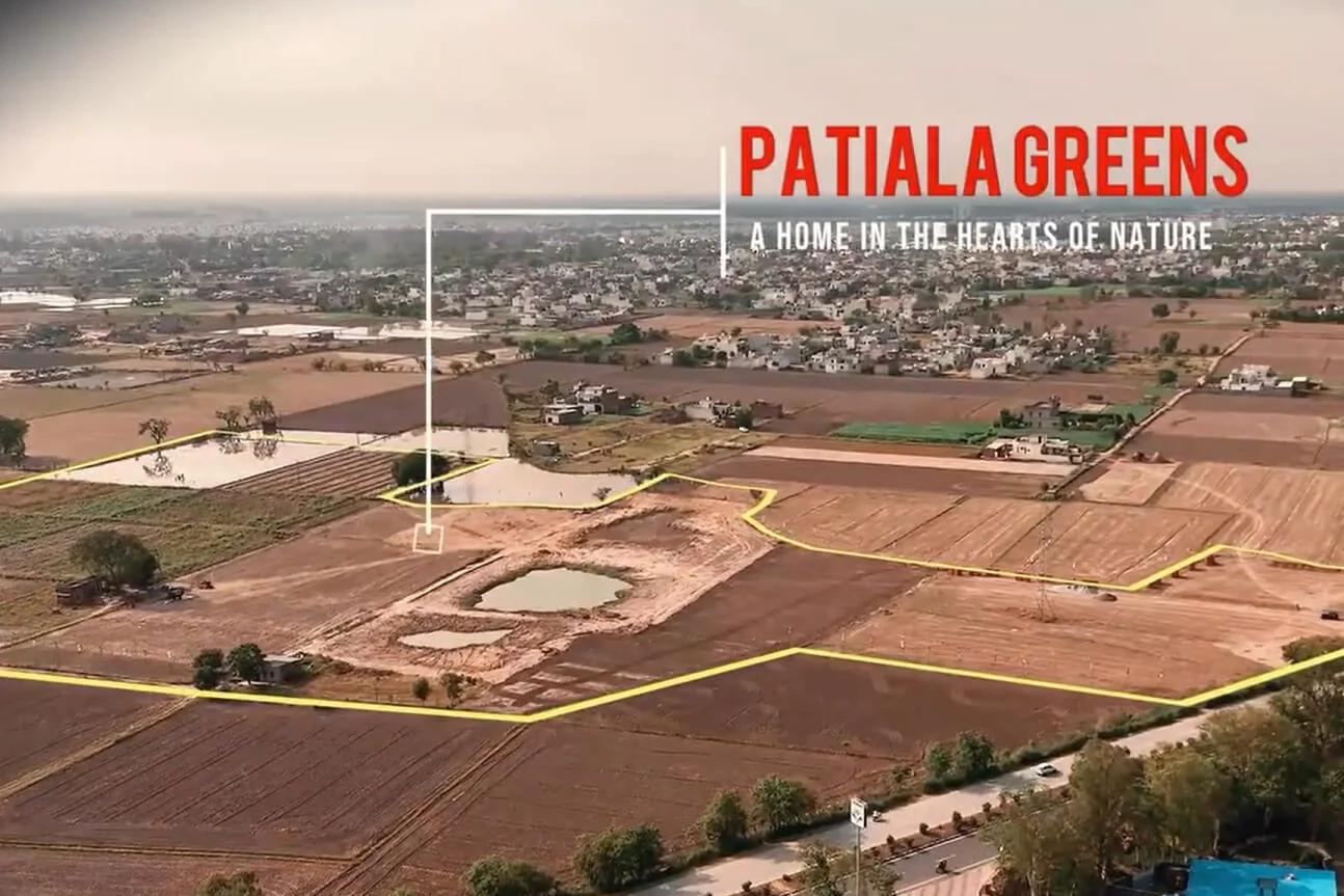Patiala Green Image